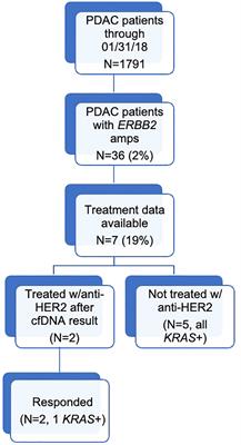 ERBB2 (HER2) amplifications and co-occurring KRAS alterations in the circulating cell-free DNA of pancreatic ductal adenocarcinoma patients and response to HER2 inhibition